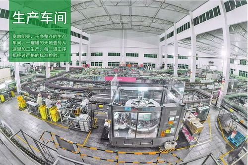 风华正青年 麦玉芬与她的15年果醋发酵工艺研发之路