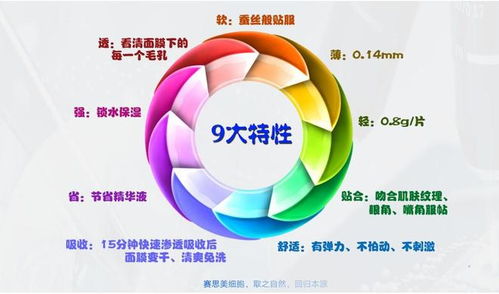 赛思美 以全方位技术支持赋能合作共赢，引领技术开发新篇章